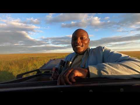 Birds of Africa
