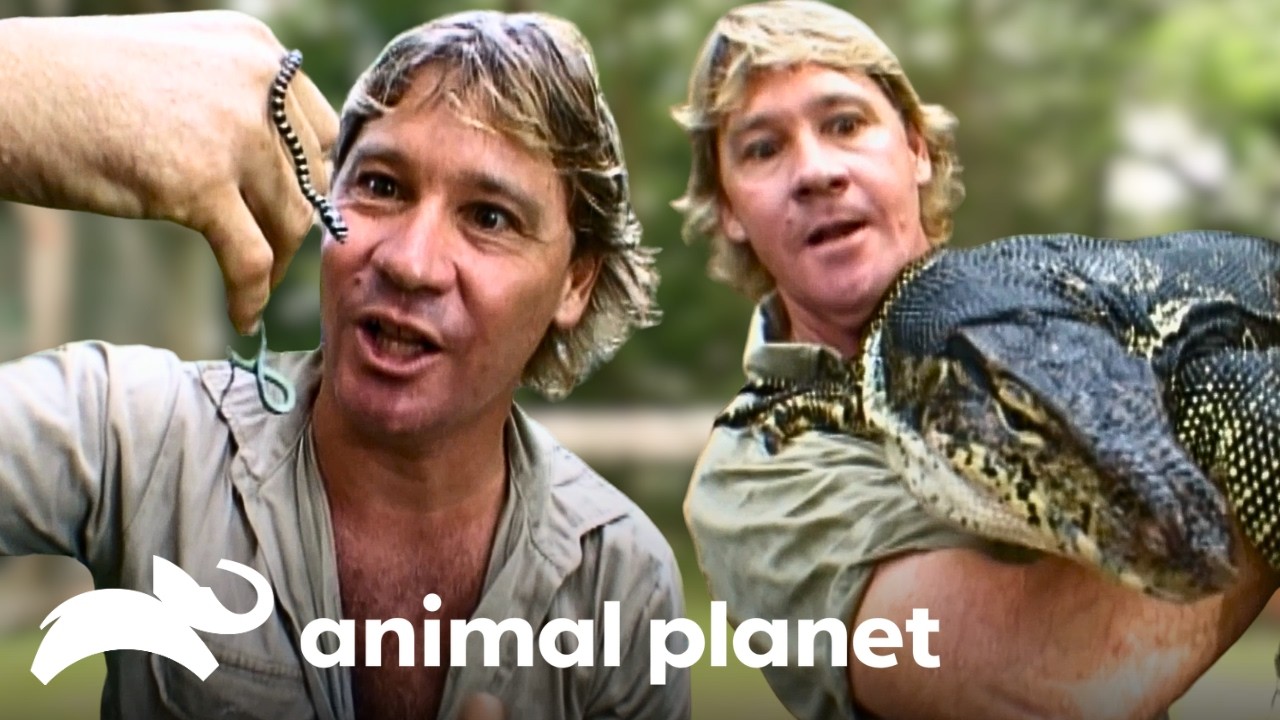 Steve Irwin Explores the Wilds of Indonesia 🇮🇩 The Crocodile Hunter | Animal Planet