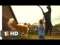 A Dog's Journey (2019) - Dog vs. Horse Scene (1/10) | Movieclips