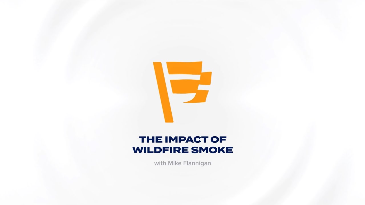 The Impact of Wildfire Smoke