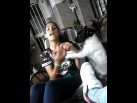 Quien se desaoga el perro o la persona?? Jajaja xd