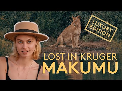 LUXUS-Safari in KRUGER - Makumu in der Klaserie (4K)