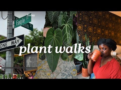 Exploring plant shops, coffee shops and bookstores in Brooklyn