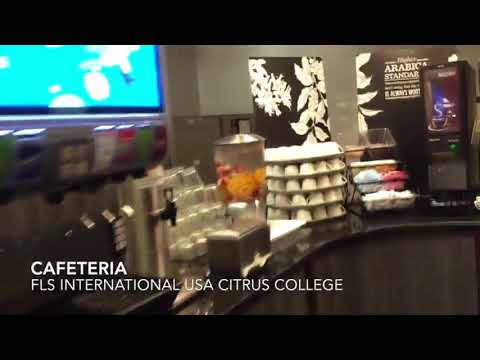アメリカ留学 FLS-cafeteria