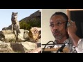 THE JUNGLE BOOK Voices Of The Jungle Official Disney UK