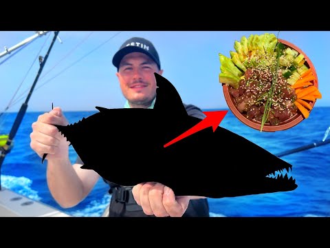 New FISCHART becomes DeLuxe Sushi Bowl 😍!