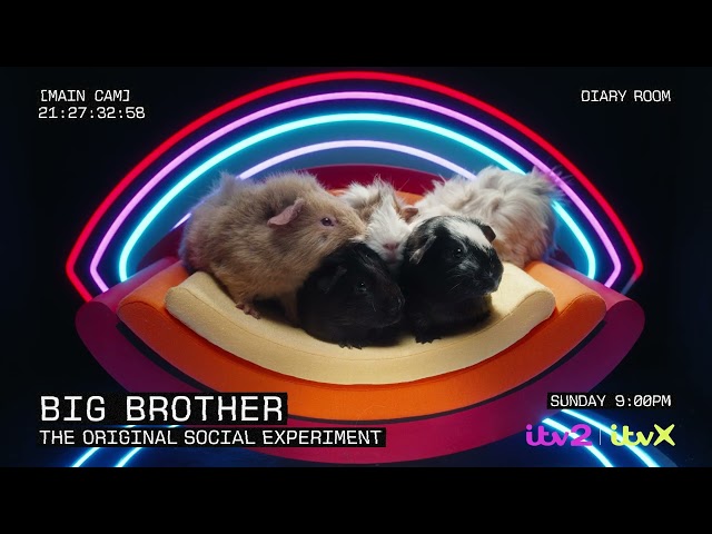 Brand New Big Brother UK returns to ITV2 | Sunday 6th October