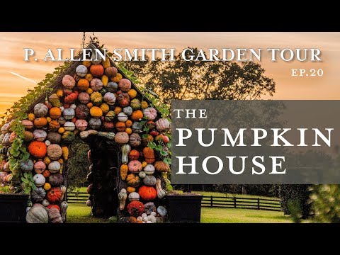 Best Pumpkins for Fall Decor | Pumpkin House Tour: P.