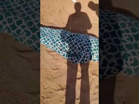 Боз як фочиа