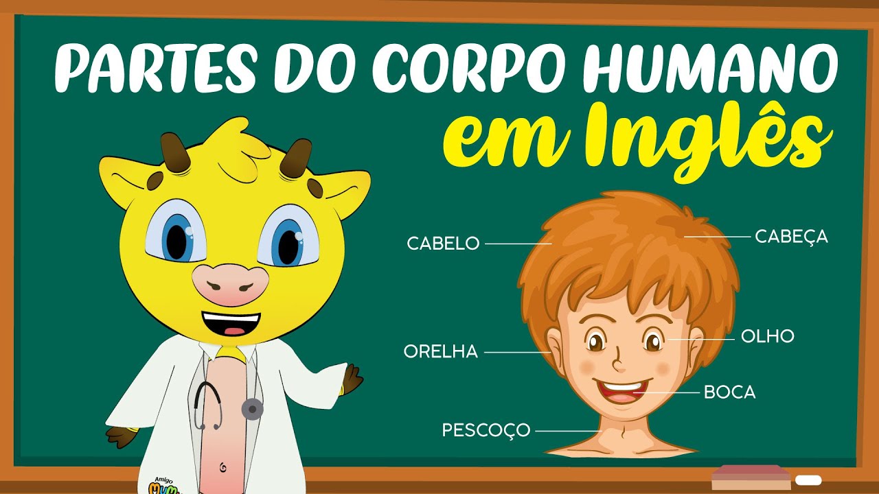 Partes do Corpo Humano  em Inglês | Partes da Cabeça em Inglês