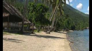 preview picture of video 'Philippines, Biliran province, Almadro Beach in Balaquid'
