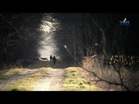 Darz Bór odc. 86 - Diany na polowaniu cz. 2