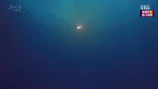 Second Moon - Hidden Story | Legend Of the Blue Sea Ost score part.2