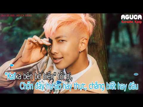 [Karaoke Việt] BUTTERFLY - BTS