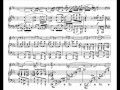 Brahms violin sonata op. 78 no. 1 in G major [2/3]