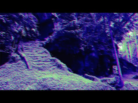 MYSTXRIVL x Portwave - Non Omnis Moriar