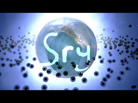 I Made 1000 Black Holes Orbit the Earth - Universe Sandbox 2 Video