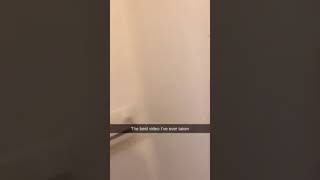 Funny Videos 2021 ● #shorts