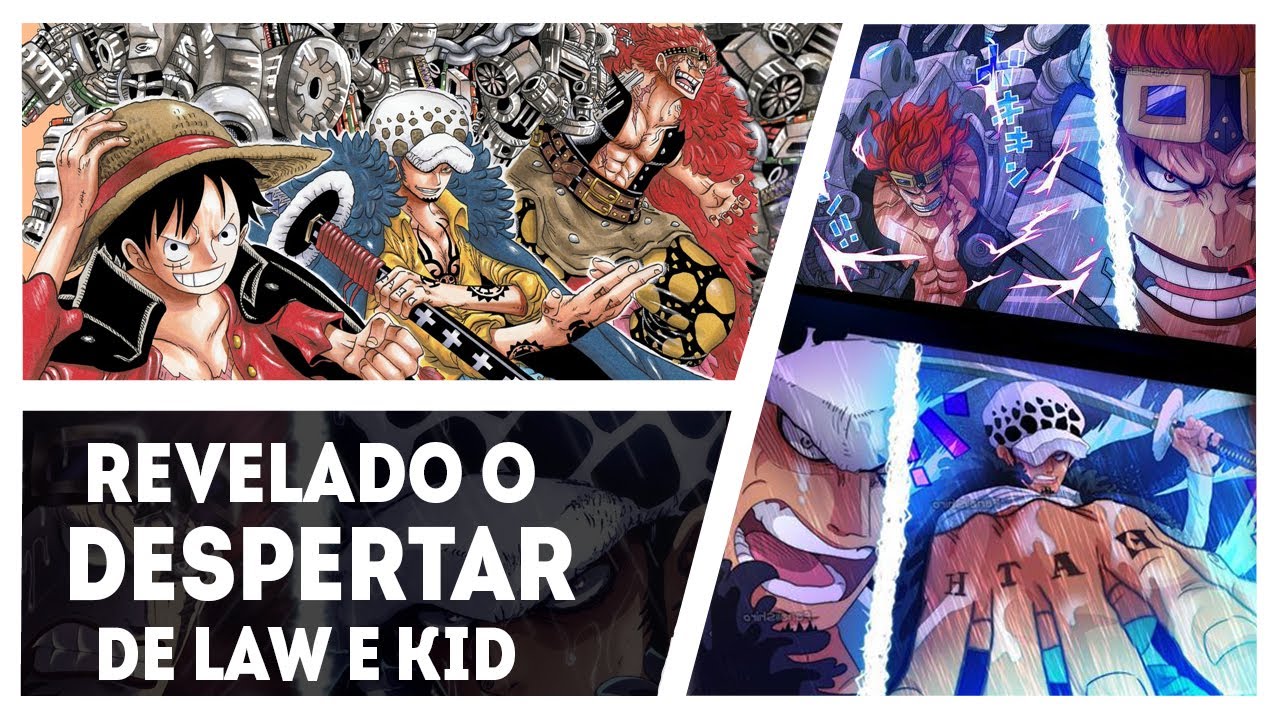 O DESPERTAR DA AKUMA NO MI DE LAW E KID EXPLICADOS - OS NOVOS YONKOUS CONFIRMADOS - ONE PIECE 1030