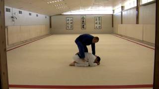 Turtle Turnover to Juji Gatame