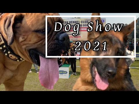Dog Show Faisalabad 2021|  desh darshan | Gurmeet Singh