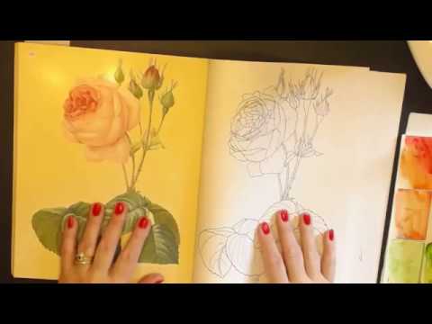 The Beauties of Nature colouring  book flip