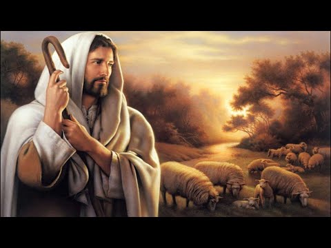 MISSA DO XXVII TEMPO COMUM