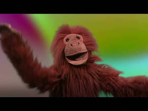 Gareth yr Orangutan - Mwfs Fel Dafydd Iwan