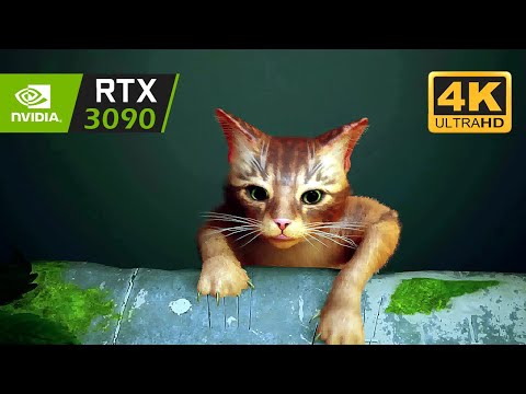 STRAY - 4K PC Gameplay Walkthrough Part 1 | Opening Cinematic & Loosing my Family