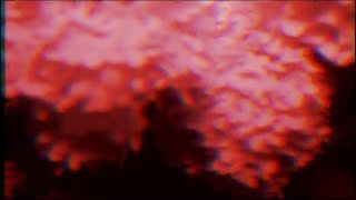 TYRANT XENOS - IGNORANCE / RAINDROP KISSES [Visual]