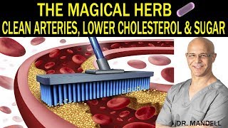THE MAGICAL HERB THAT CLEANS ARTERIES, LOWERS CHOLESTEROL & SUGAR - Dr Alan Mandell, DC