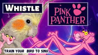 Download lagu Whistle - PINK PANTHER - Training Video for Cockatiels and Birds mp3 Download lagu Whistle - PINK PANTHER - Training Video for Cockatiels and Birds mp3