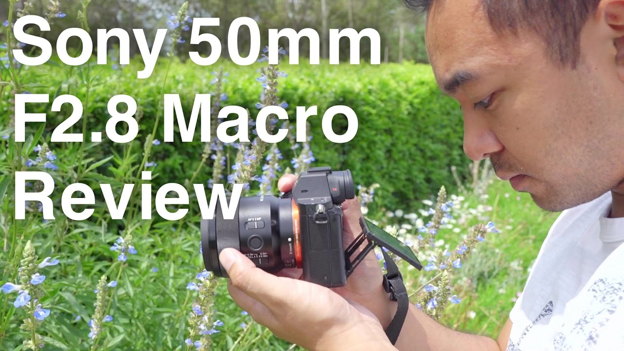Объектив Sony FE 50mm f/2.8 Macro