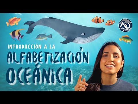 Introducción a la Alfabetización Oceánica | Capitulo 1 Temporada 1 | AO Latinoamérica
