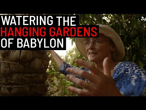 Before Archimedes' Screw: How did they water the Hanging Gardens of Babylon?