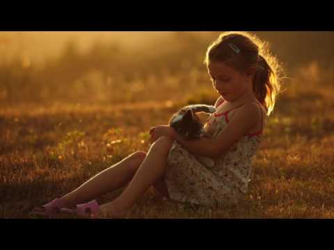 Mircea Rusu Band ft. Nicolae Voiculet - Ingeri in cer plangand