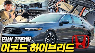 쏘나타 하브를 왜 사요? 연비 23km/L?? 혼다 어코드 11세대 하이브리드 시승기!! 유튜브 썸네일