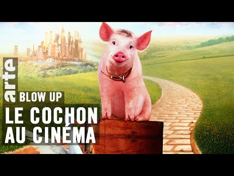 Le Cochon au cinéma - Blow Up - ARTE