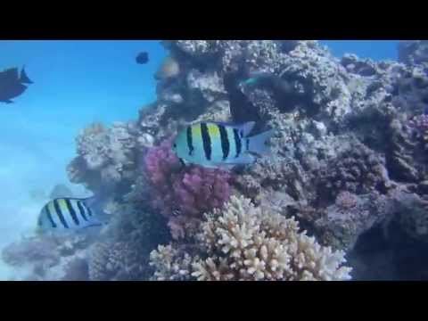Tauchen im Roten Meer, Hurghada - allgemein,Ägypten