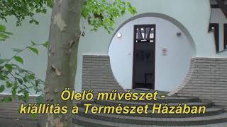 TERMÉSZET HÍREI