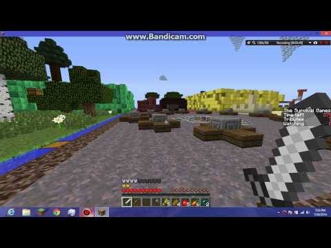Minecraft Survival Games #2
