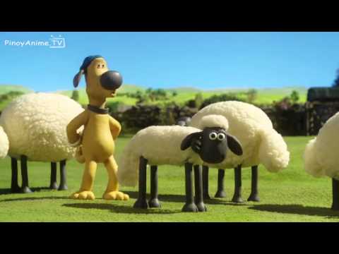 shaun the sheep championsheeps 10 episodes