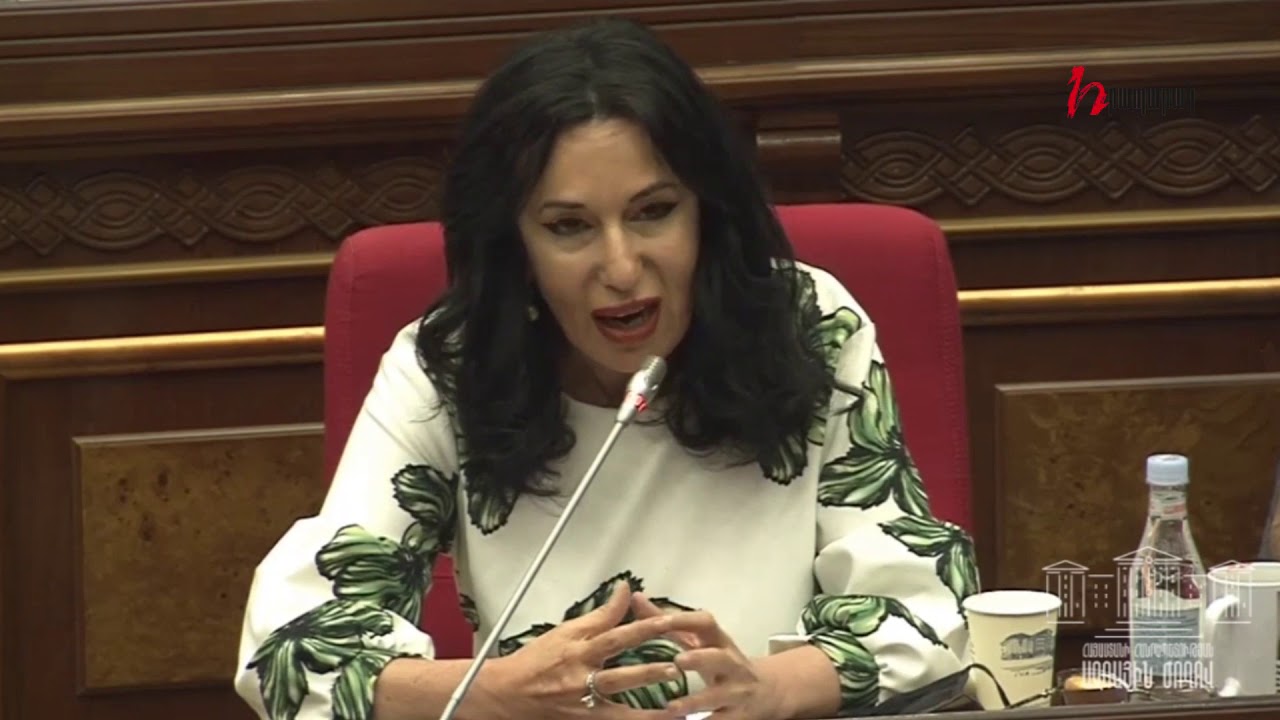 Չեք կարծո՞ւմ, որ Սահմանադրությունը սարքում եք «պոլի շոր». Զոհրաբյանը՝ Հովակիմյանին