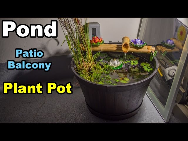 Pond in planter pot balcony patio condo apartment