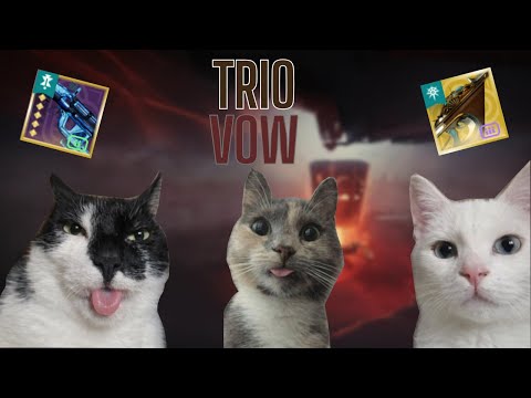 Trio Flawless Vow of the Disciple || Destiny 2: Renegades