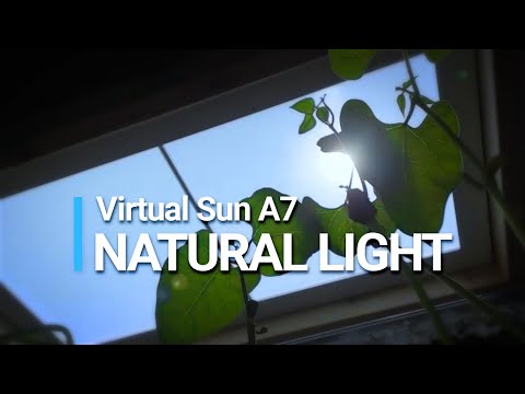 Natural Lighting with Virtual Sun A7