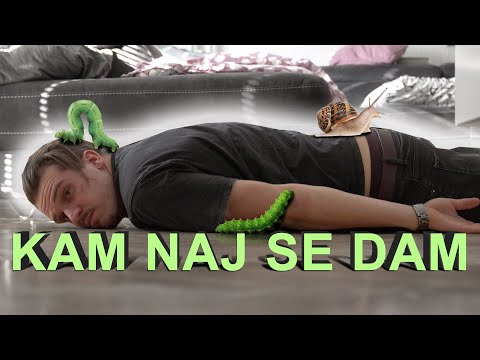 KoriKaver - Kam naj se dam