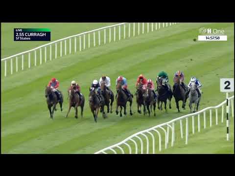 Flying Five Stakes - Gruppe 1