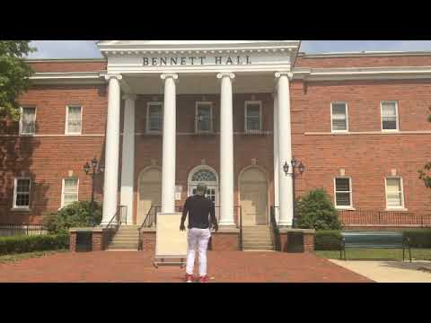 Dreams Money Can Buy Freestyle