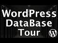 Tour Of The WordPress Database With PhpMyAdmin Adminer WP Database Plugins SQL MySQL